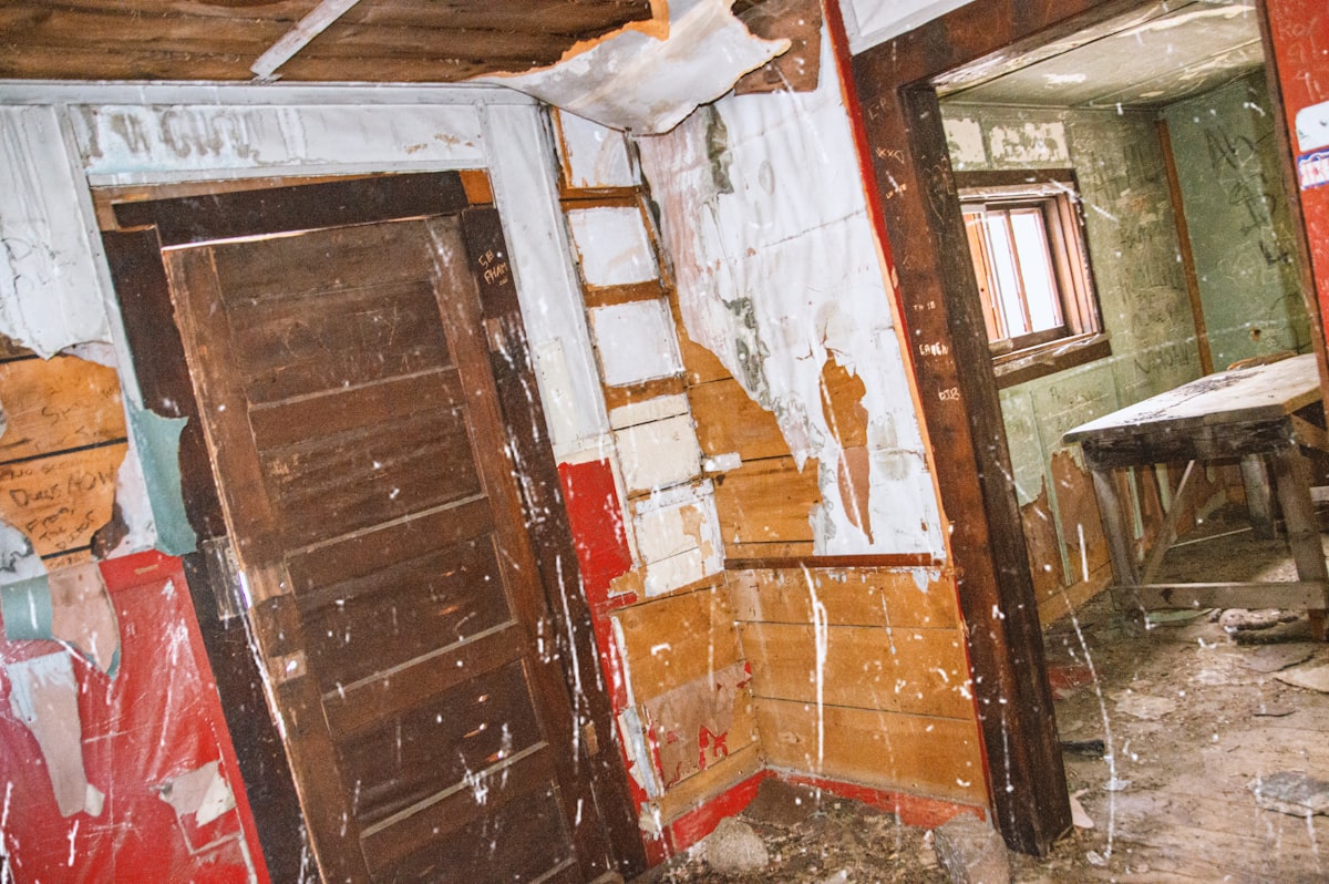 Mold Remediation service in Fall River, MA