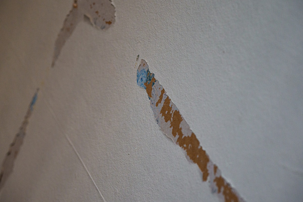 Mold Remediation service in Fall River, MA